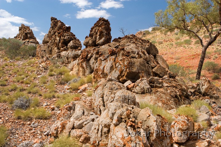 Ormiston Gorge_20070913_016.jpg